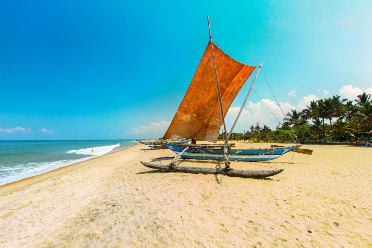 The Kingslayer Resort Negombo Zewnętrze zdjęcie